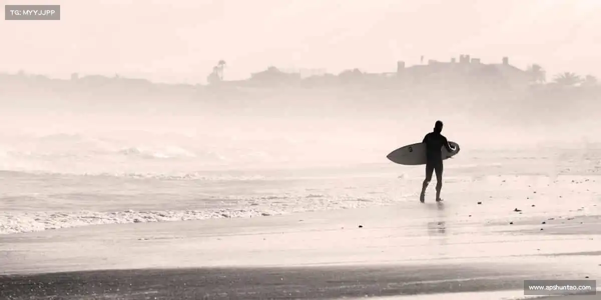 为什么选择我们